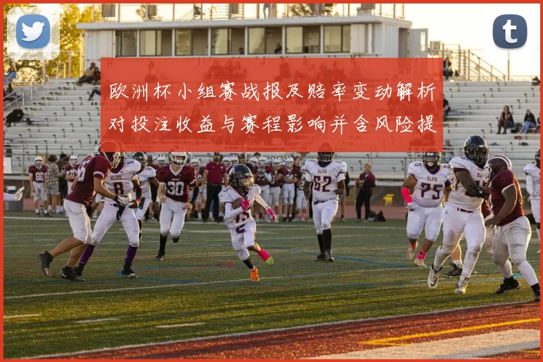 欧洲杯小组赛战报及赔率变动解析对投注收益与赛程影响并含风险提示