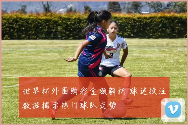 世界杯外围购彩金额解析 球迷投注数据揭示热门球队走势