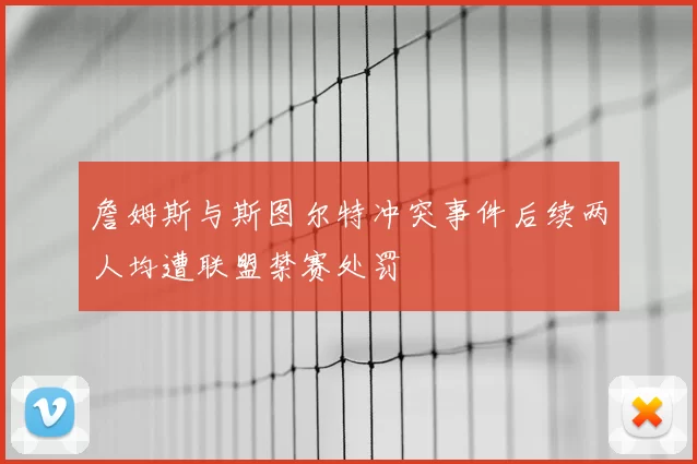 詹姆斯与斯图尔特冲突事件后续两人均遭联盟禁赛处罚