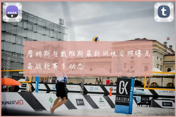 詹姆斯与戴维斯最新训练合照曝光备战新赛季动态