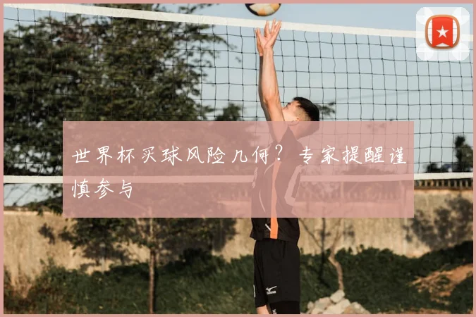 世界杯买球风险几何?专家提醒谨慎参与