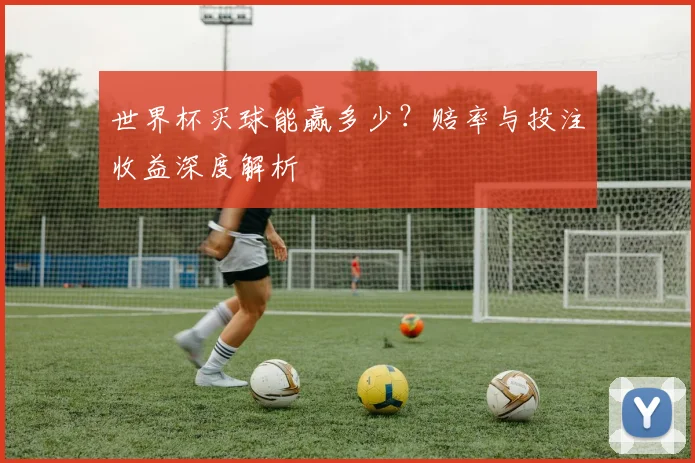 世界杯买球能赢多少?赔率与投注收益深度解析
