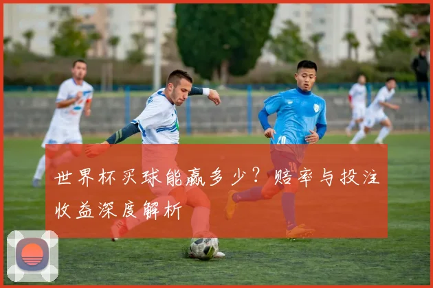 世界杯买球能赢多少?赔率与投注收益深度解析